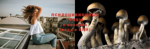 стаф Елабуга