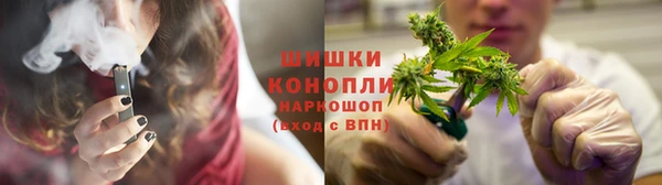 стаф Елабуга