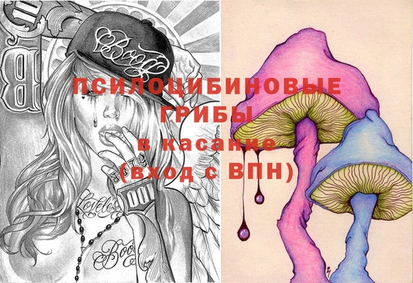 стаф Елабуга