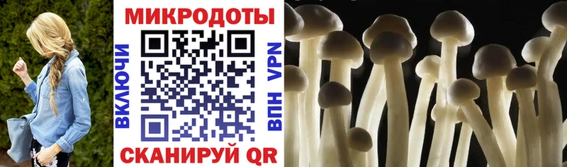 Галлюциногенные грибы прущие грибы  Купить где  Каменск-Уральский 