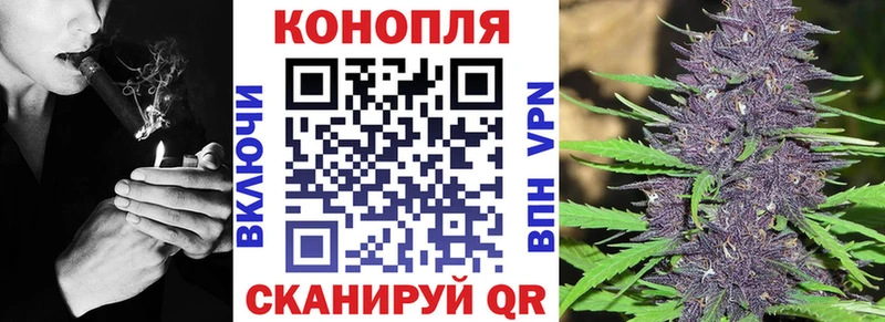 Купить закладки  Каменск-Уральский  Бошки марихуана тримм 